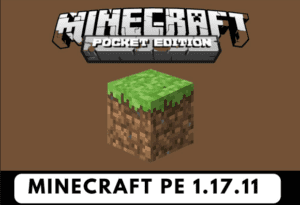 Minecraft 1.17.11