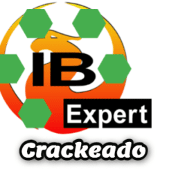 Ibexpert Crackeado Grátis Download Português PT-BR 2022